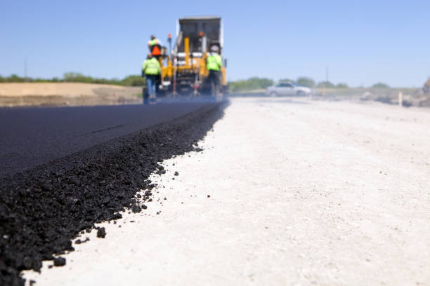 Best Residential Driveway Paver Services  in Lake Catherine, IL