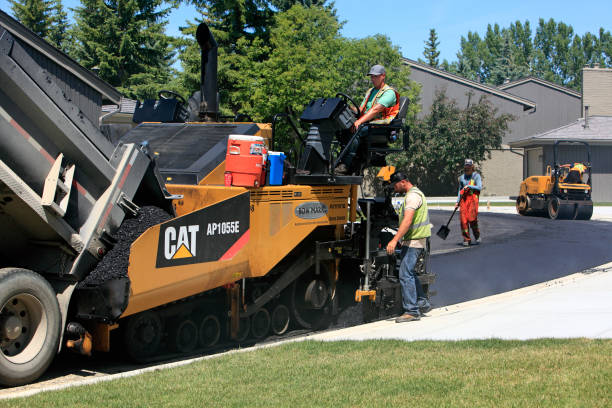Best Professional Driveway Pavers  in Lake Catherine, IL